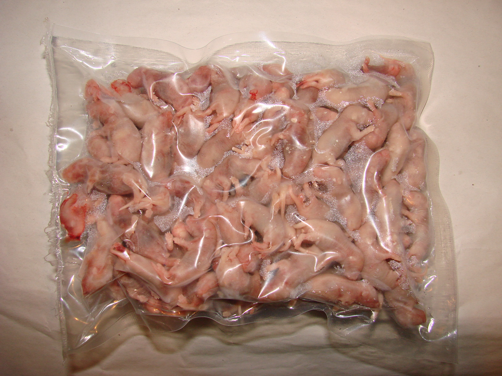 noworodki mysie mrożone